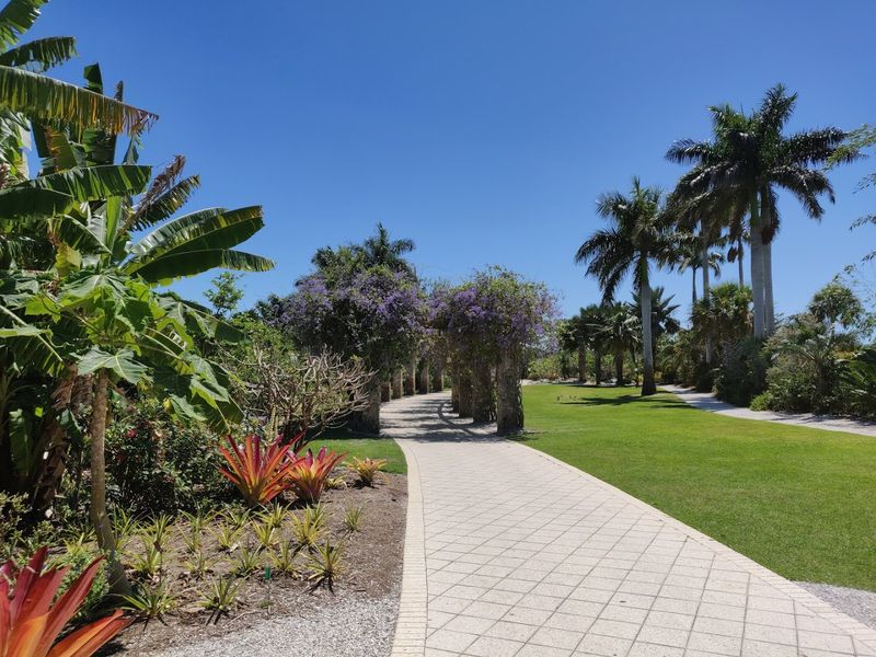 Planning Your Visit: Hours, Tips, and What to Bring