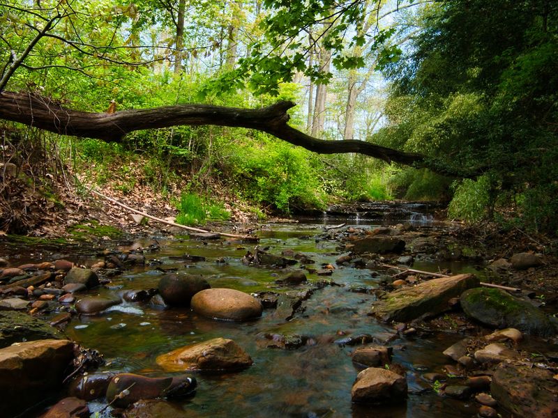 Free Admission and What That Actually Means