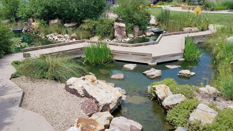Children's Gardens and Family-Friendly Features