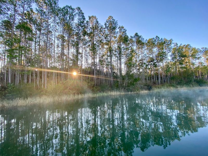 Bear Pond: The Hidden Water Feature Worth Every Step