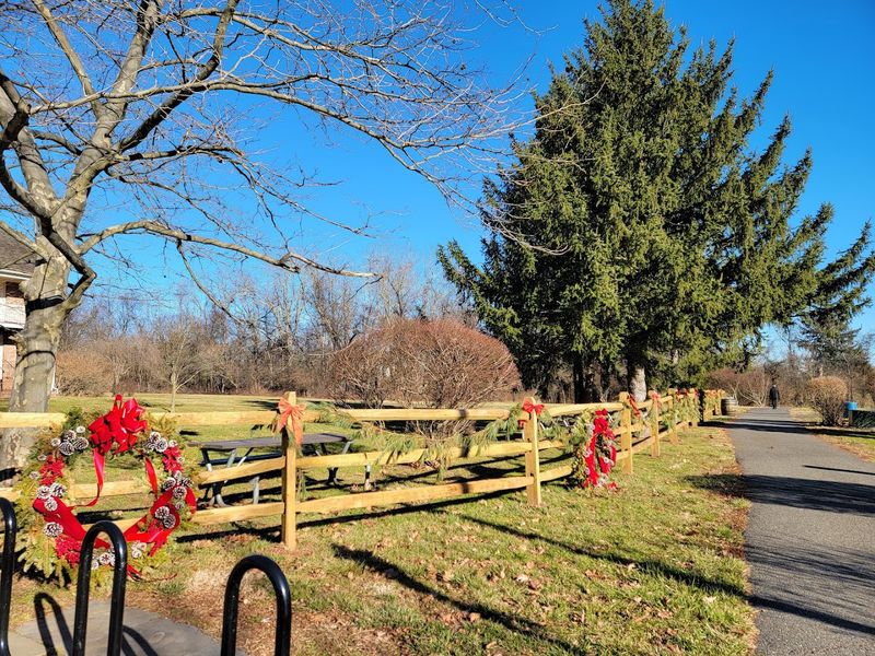 Special Events That Change the Village Entirely