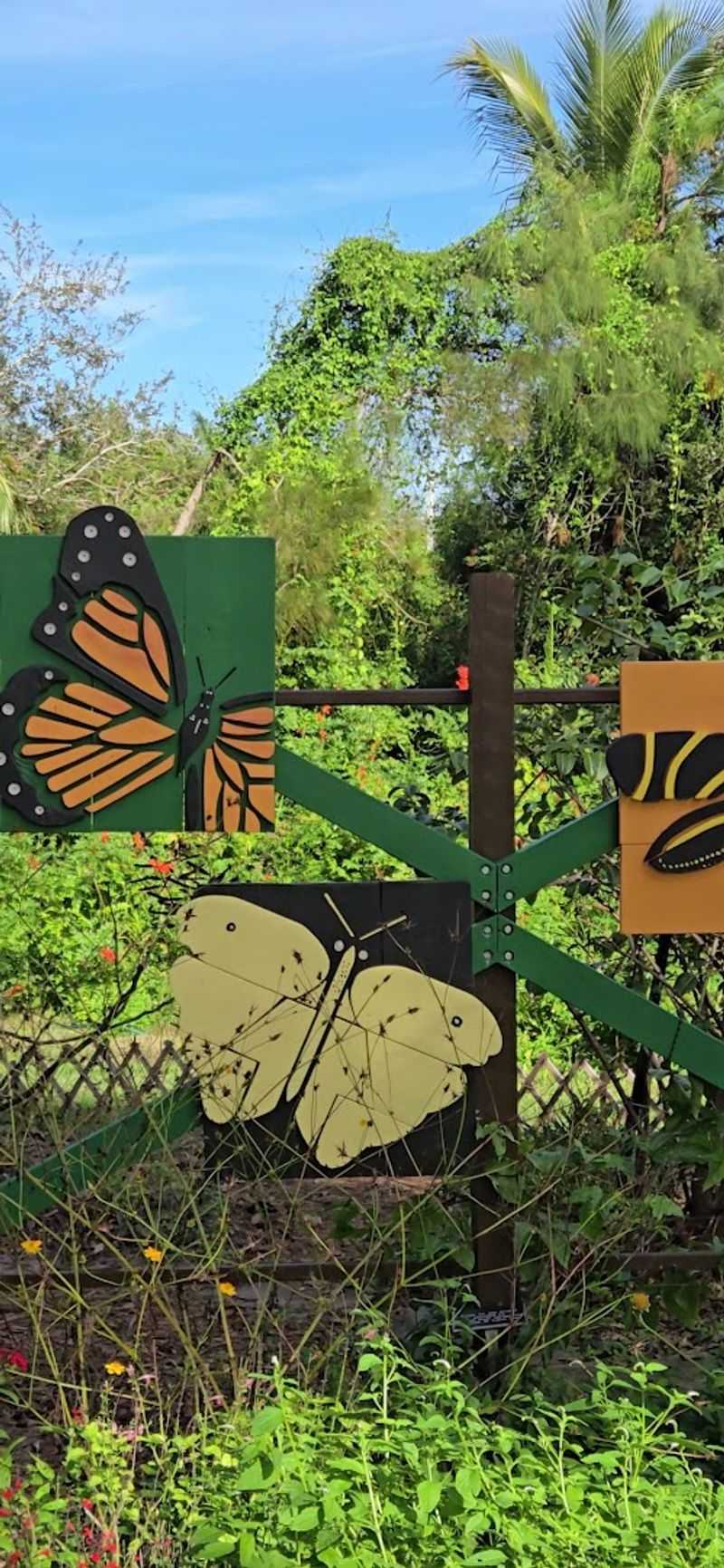 The Butterfly Garden and Its Milkweed Magic
