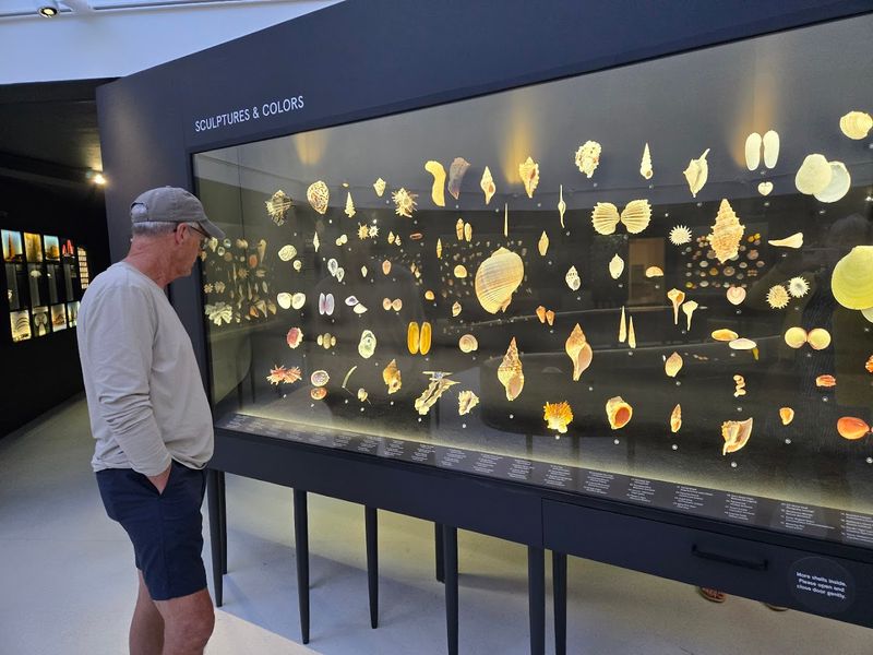 Staff and Docents: The People Who Make the Experience