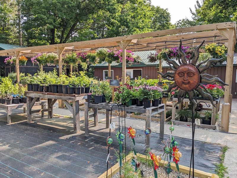 The Atmosphere That Sets It Apart