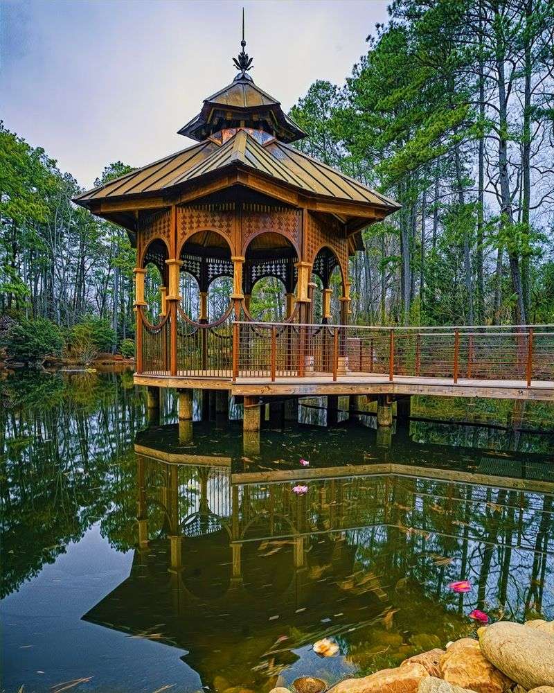 Wildlife, Photography, and the Art of Slowing Down