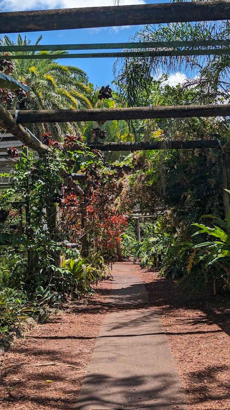 Practical Tips for a Smooth Visit