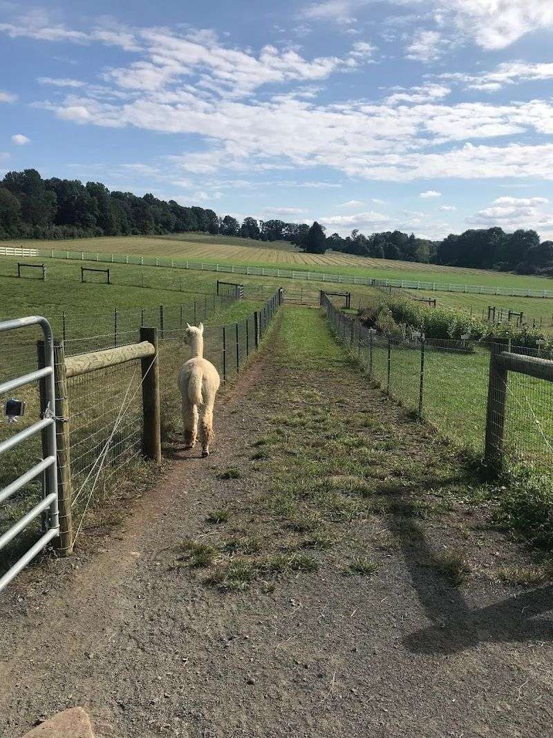 Tips for Planning Your Visit the Smart Way