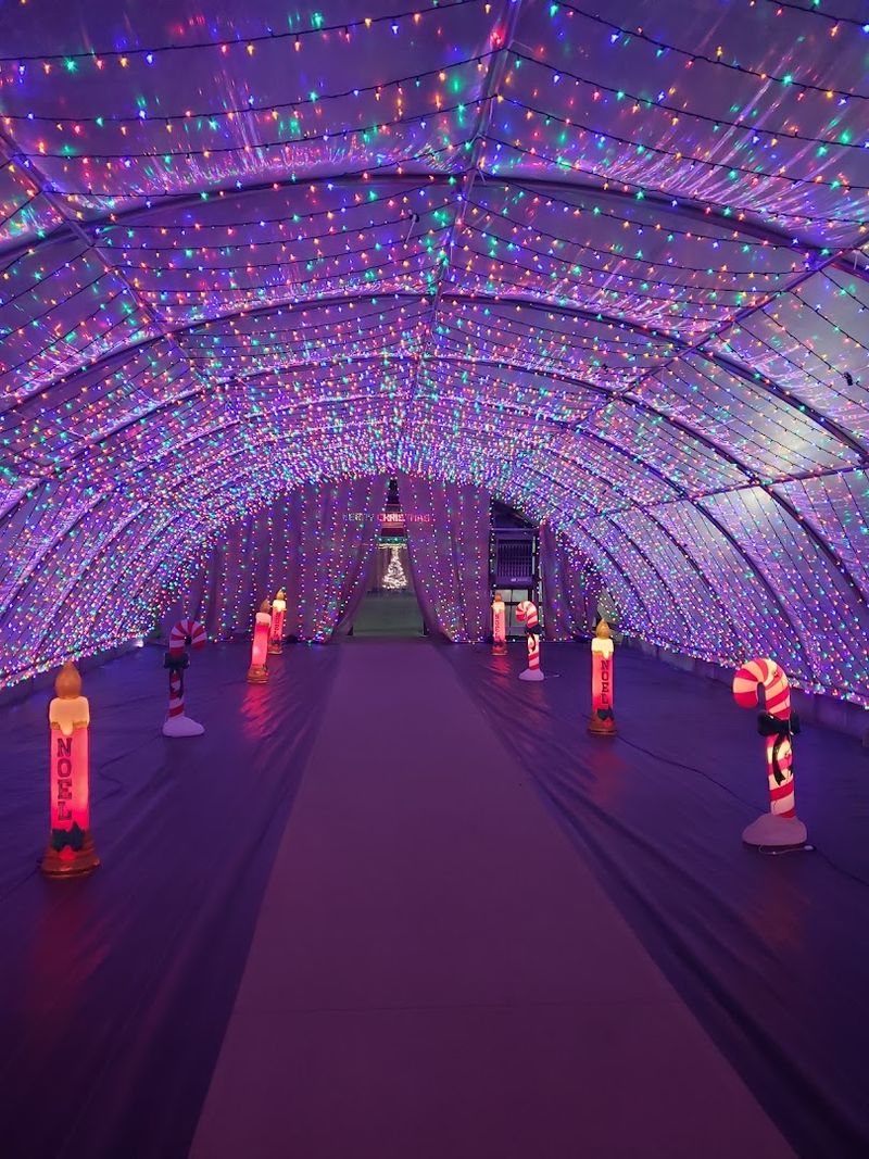 Adult-Only Nights That Prove the Farm Is Not Just for Kids