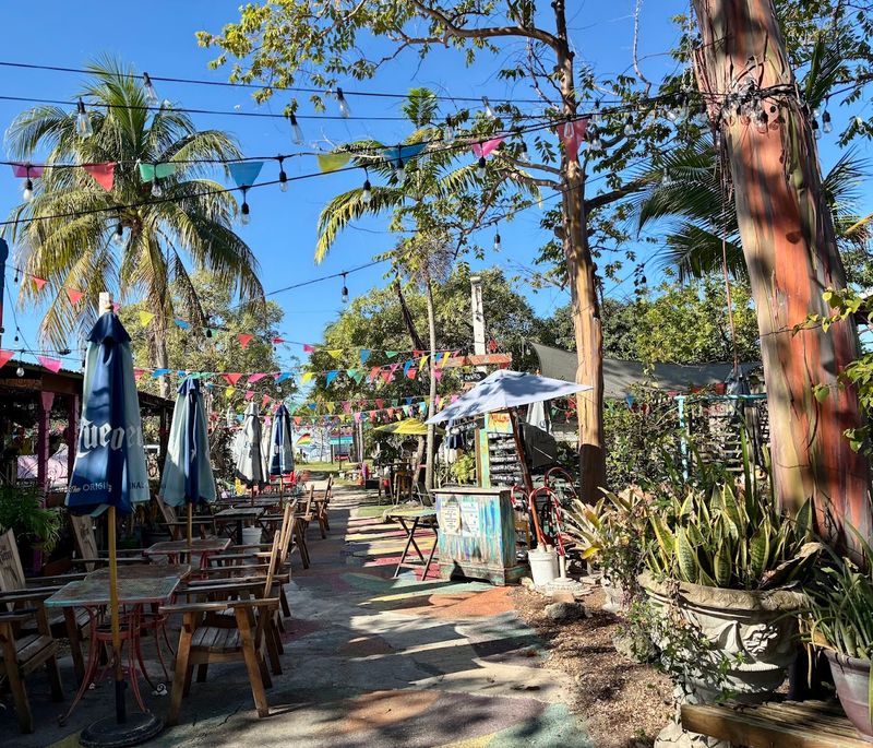 The Alchemist Café (Wilton Manors)