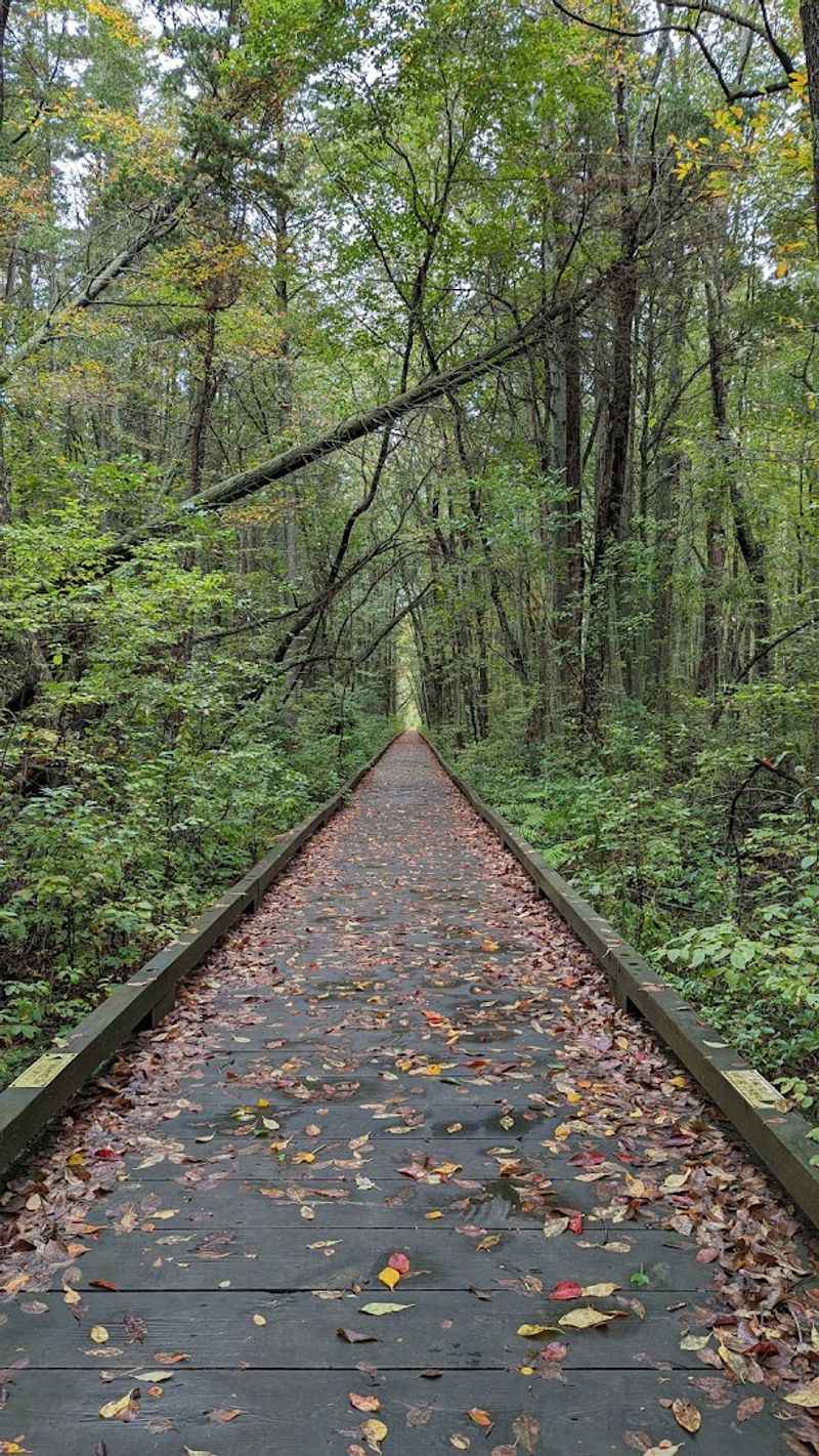 Miles of Pine Barrens Trails for Every Skill Level