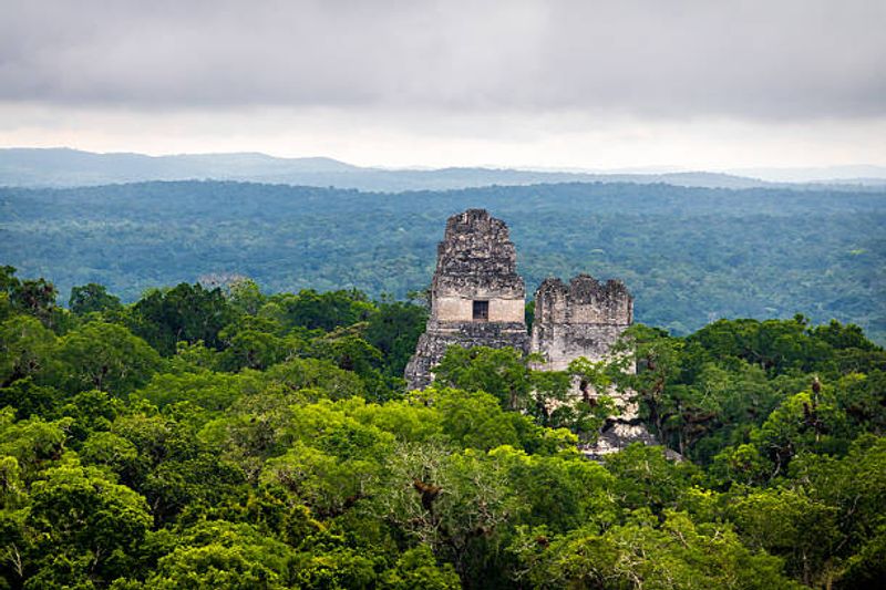 Wildlife That Makes the Ruins Feel Alive