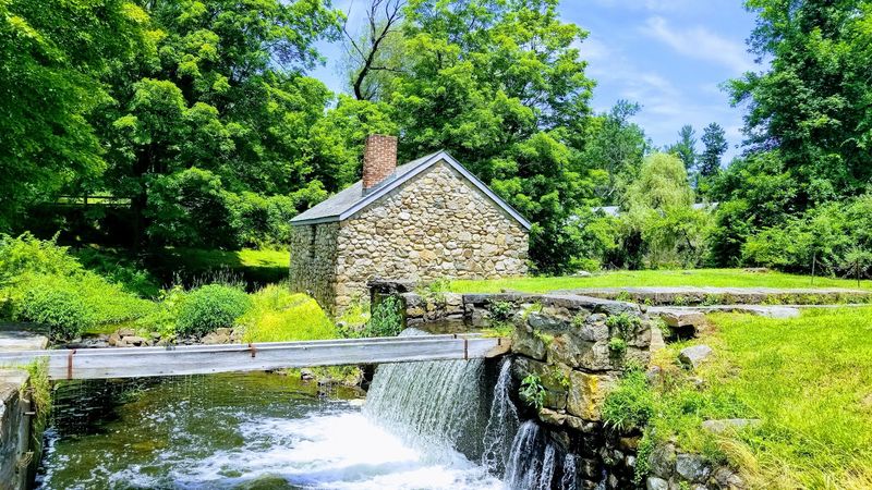 Best Times to Visit and What to Expect