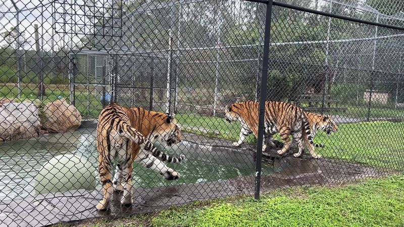 The Night Feeding: A Whole Different Experience