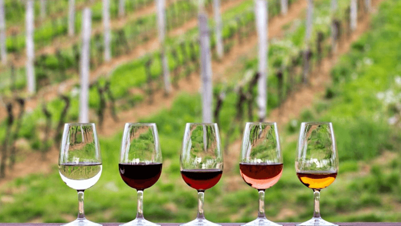 Pairing the Train Ride With a Vineyard Visit