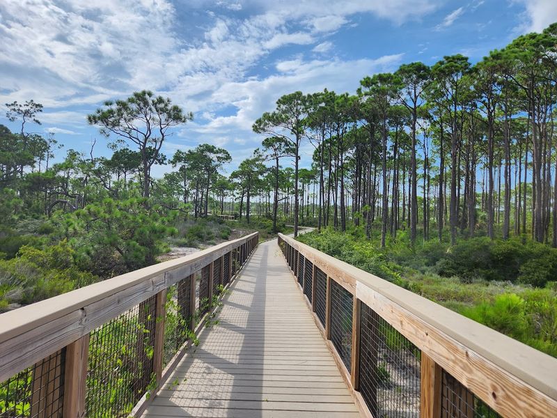 The Campground: Privacy, Trees, and a Setup That Actually Works