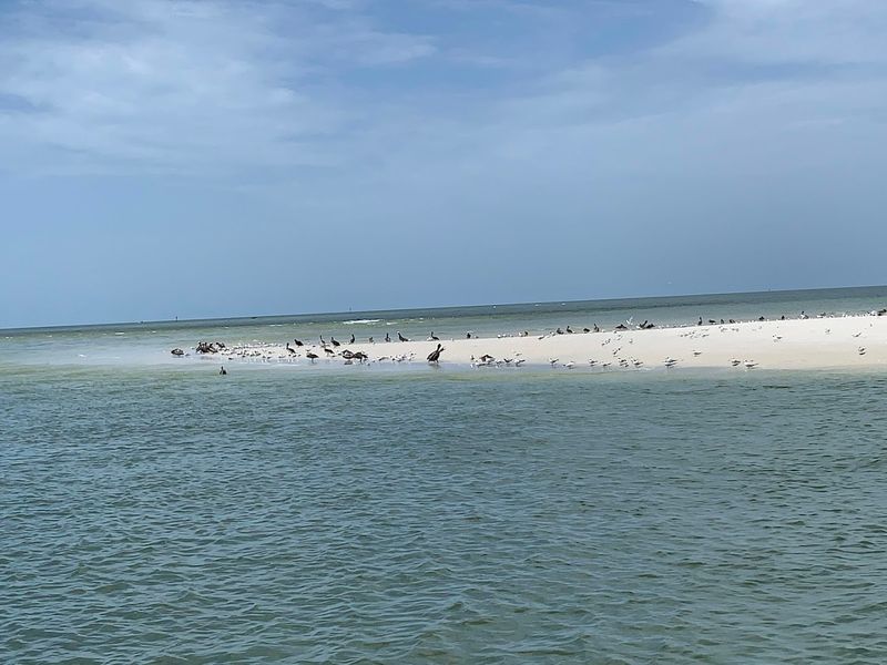 Bird Watching Opportunities Worth Bringing Binoculars For