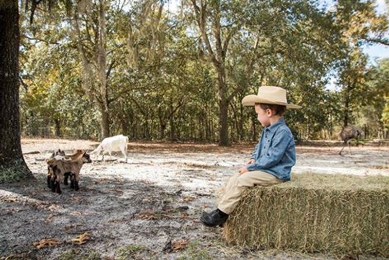 Pricing and What You Get for Your Money