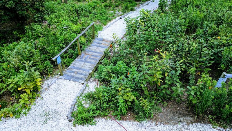 Why It Keeps Drawing People Back