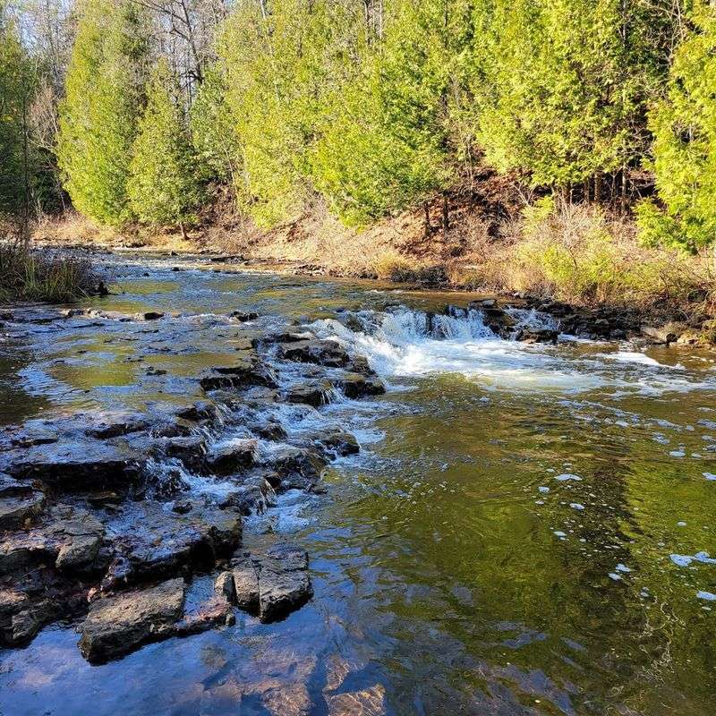 Nearby Attractions That Make the Trip Even Better