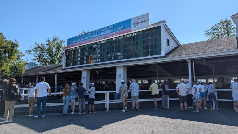 Betting for Beginners: No Experience Required