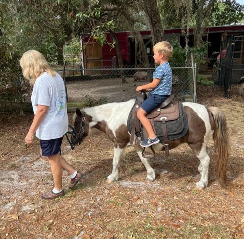 Pony Rides and the Joy of a First Ride