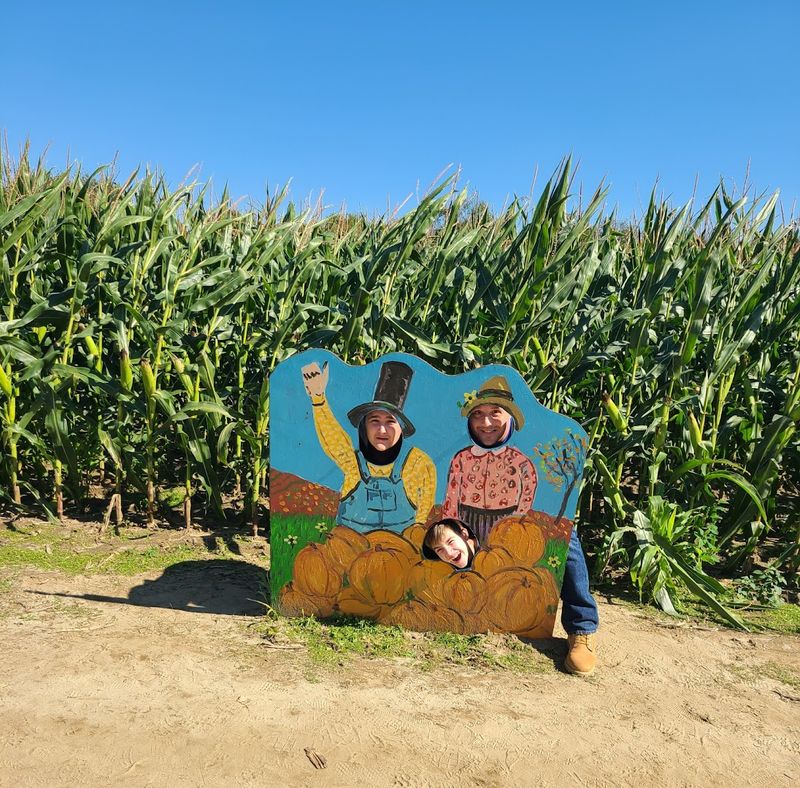 The Corn Maze: A Seasonal Challenge Worth Taking On