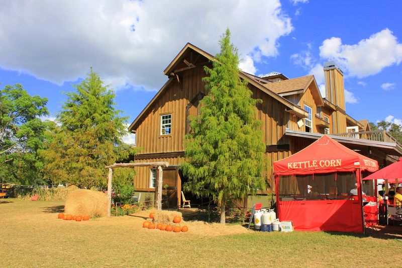 Food Trucks and Farm-Fresh Eats for the Whole Family