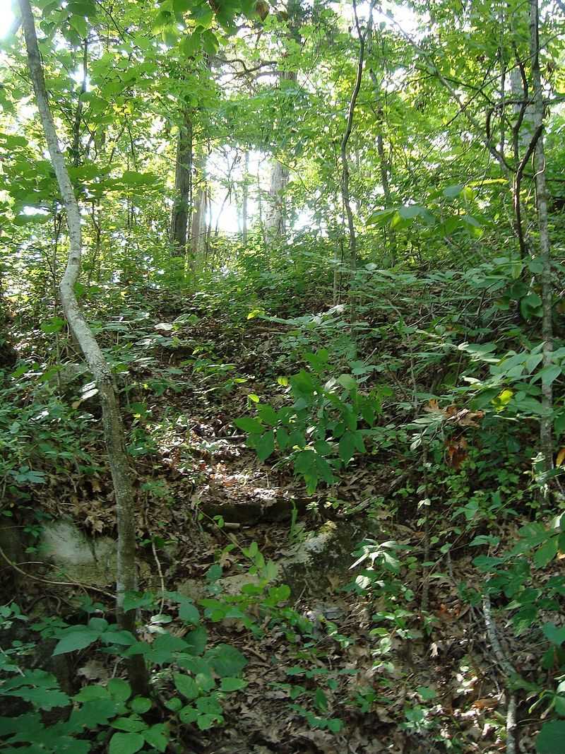 Humidity Changes Everything