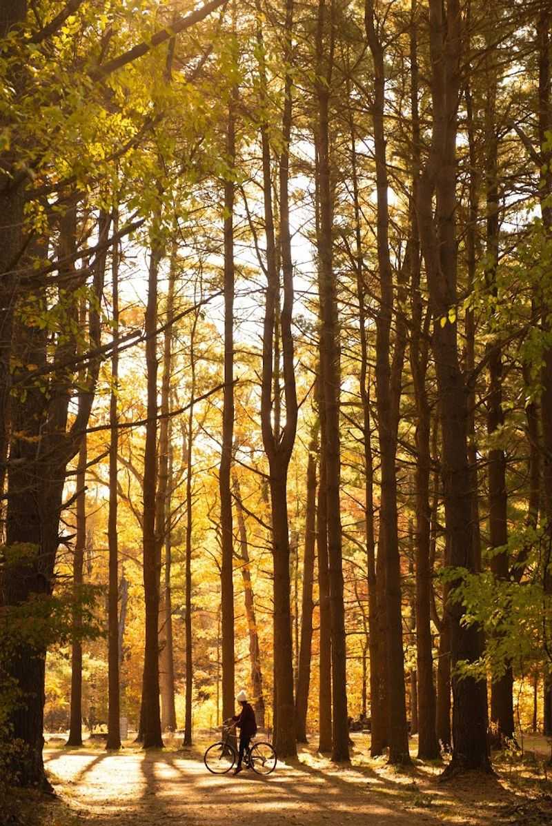 Morning Yoga and Wellness Touches That Surprise You