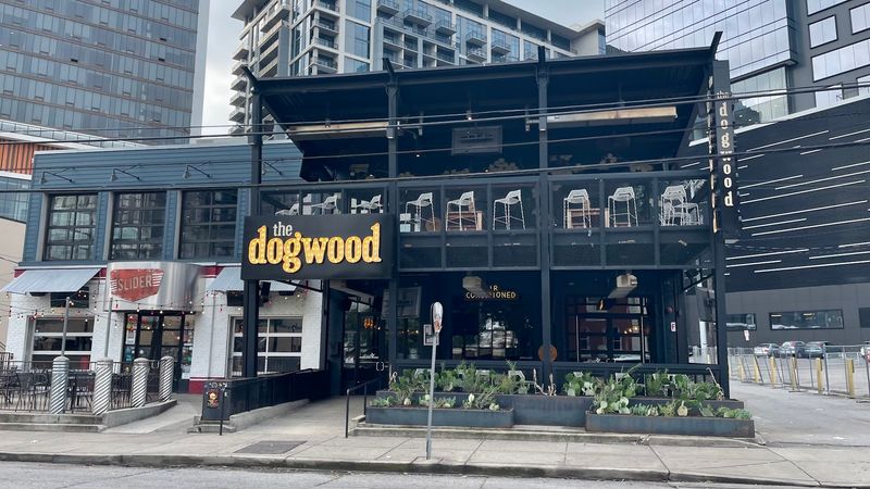 The Dogwood (Nashville) — Rooftop Energy