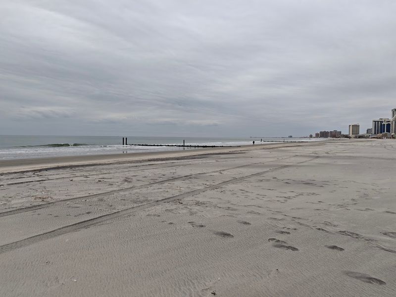 What the Beach Actually Looks Like Today