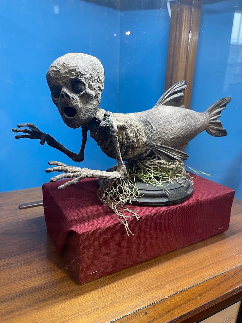 Mythical Mashup Creatures That Defy Easy Description