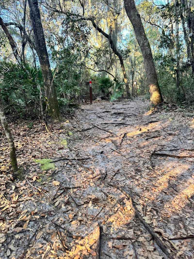 Terrain and Elevation: Not Your Average Florida Flat