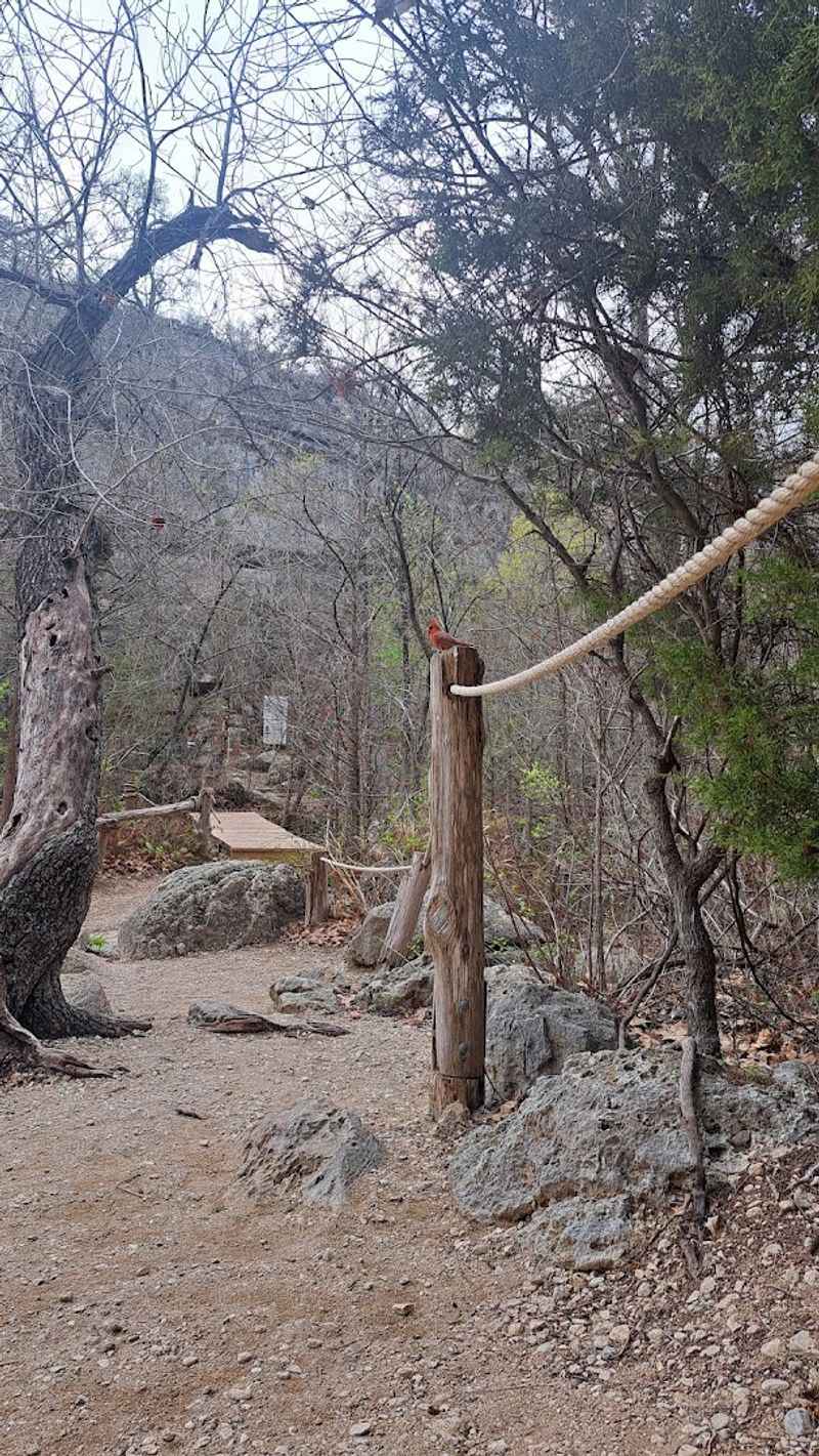 The Trail to the Pedernales River