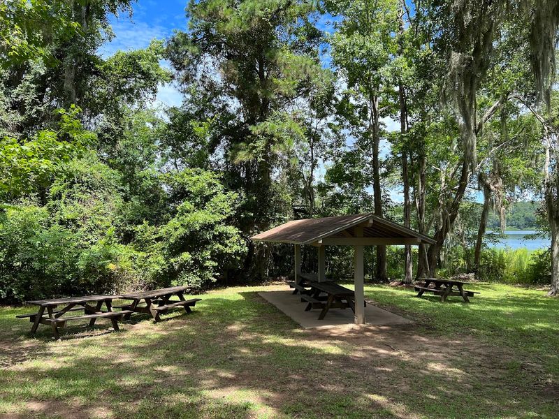 Picnic Areas and Family-Friendly Spaces