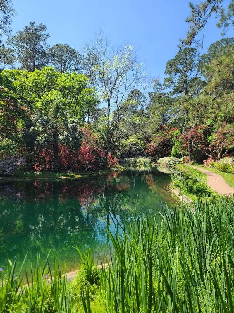 The Blooming Season: January Through April