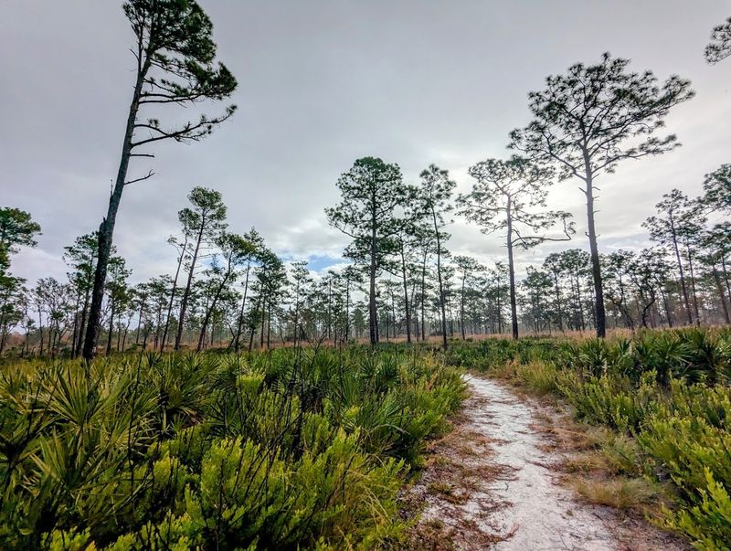 Biking Through the Park's Backcountry