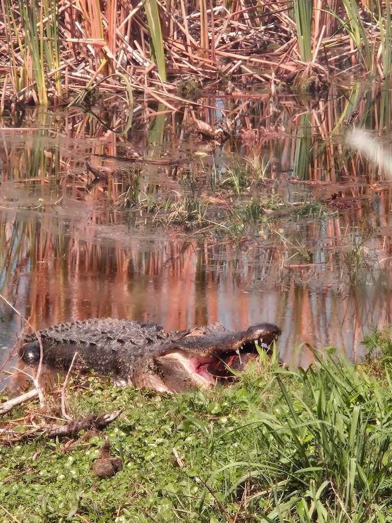 Photography Opportunities Around Every Bend