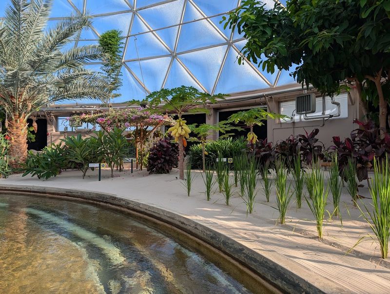 Sustainability and the Future of Farming