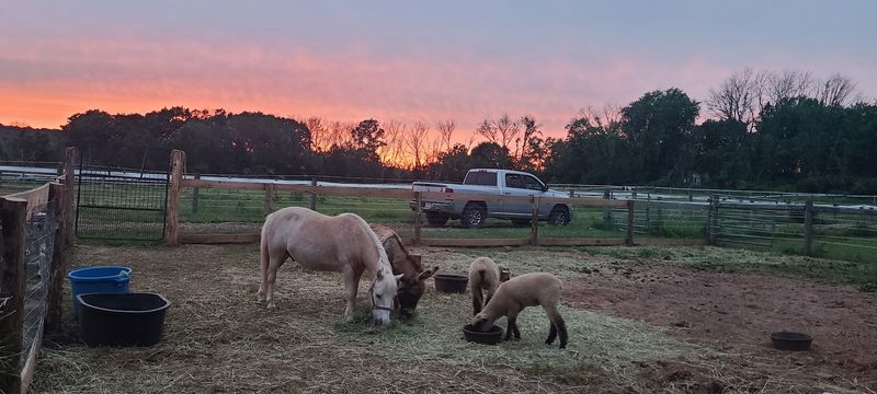 What Makes the Atmosphere Stand Out