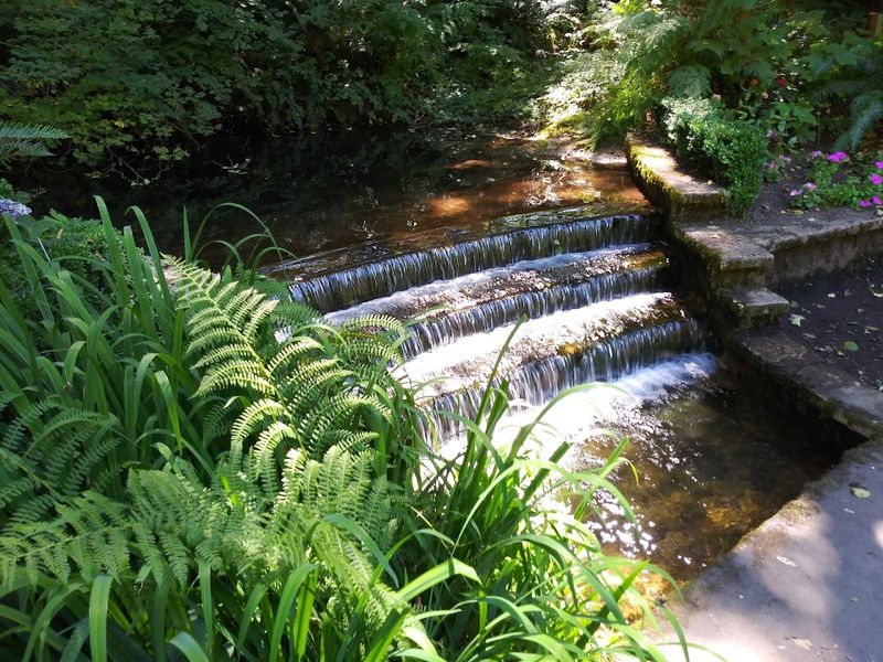 The Secret Garden That Steals the Show