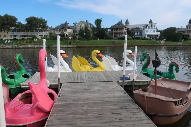 A Fleet of Animals on the Water