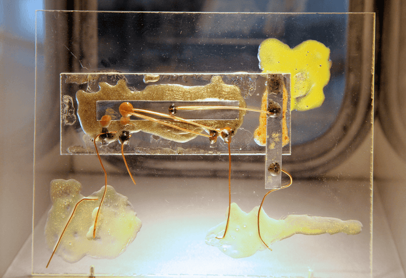 The Integrated Circuit (1958)