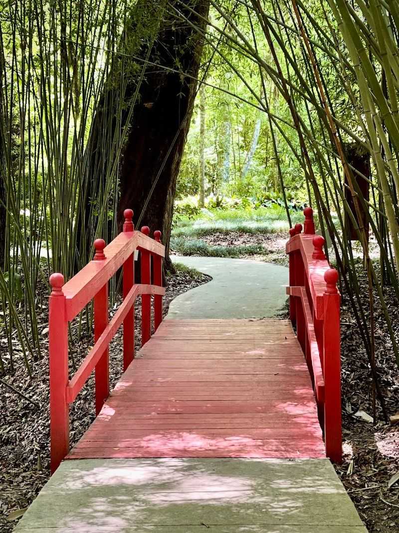 The Trails: Two Miles of Well-Maintained Paths Through 60 Acres