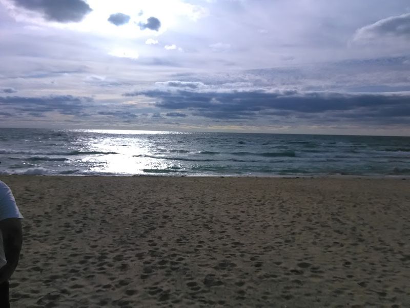 Rock Hunting Along the Lake Michigan Shoreline