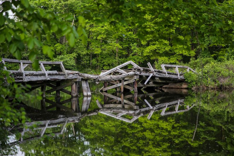 Trails, Wildlife, and What Waits Beyond the Buildings