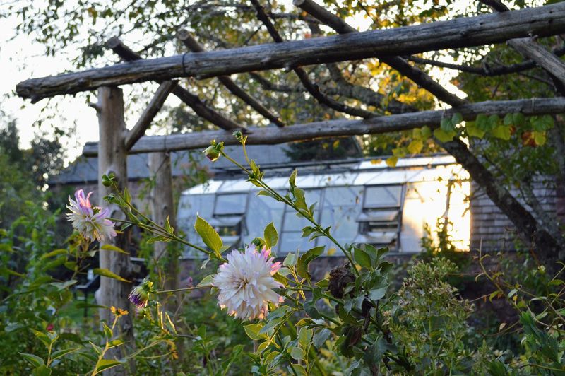 An Audio Tour That Adds a Layer of Learning