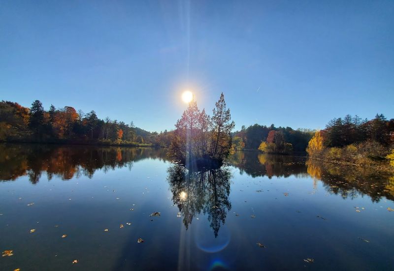 Kingswood Lake and the Winter Surprise