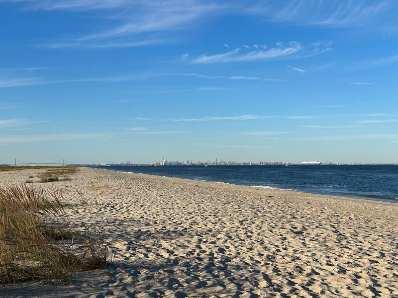 The Name Everyone Looks For