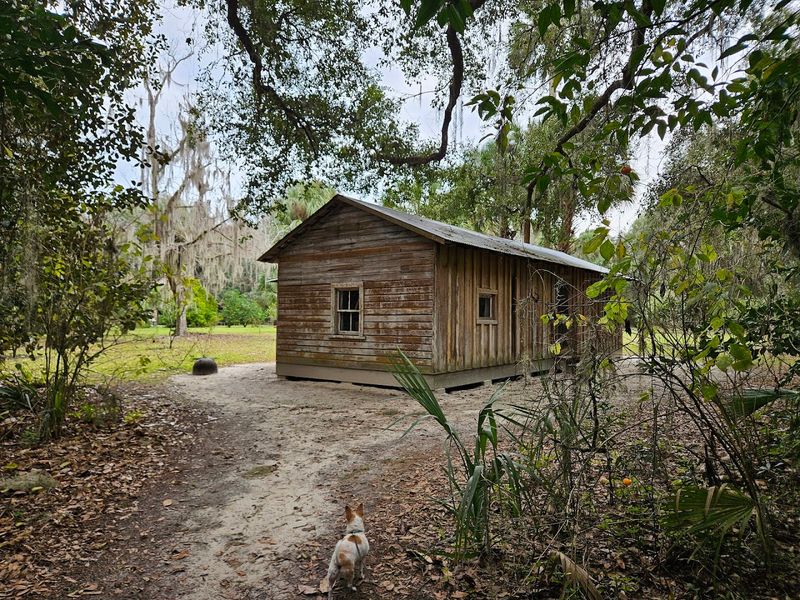 The Tenant House: A Bonus Story on the Same Grounds